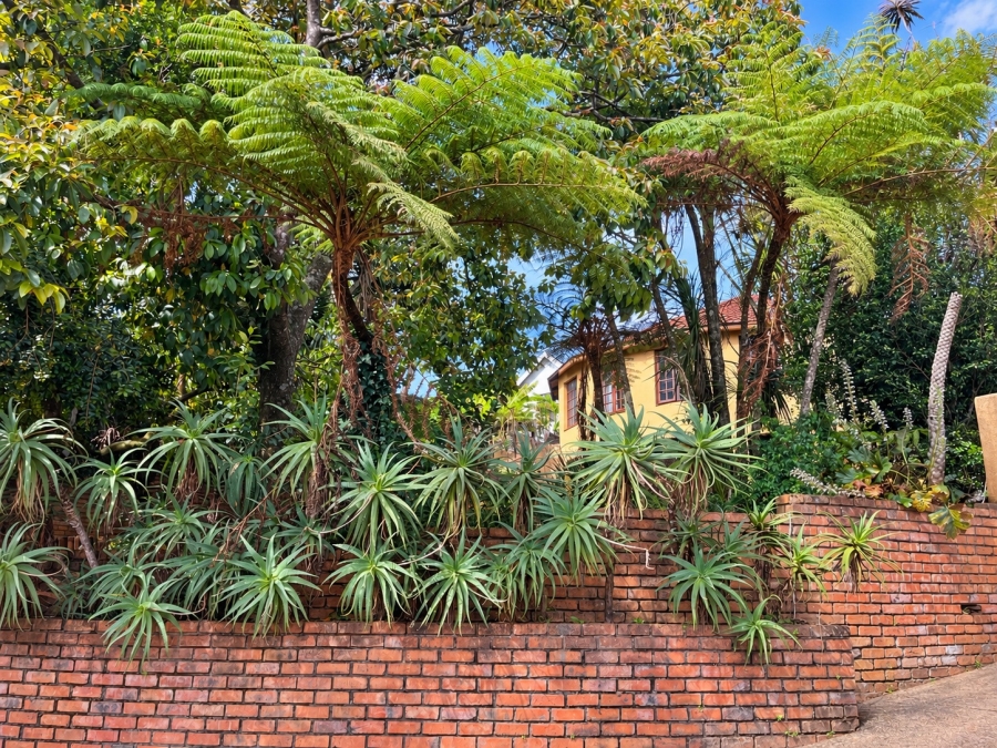 4 Bedroom Property for Sale in Graskop Mpumalanga