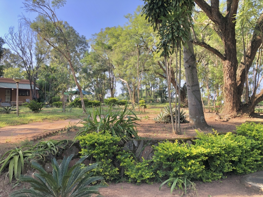 To Let 0 Bedroom Property for Rent in White River Mpumalanga