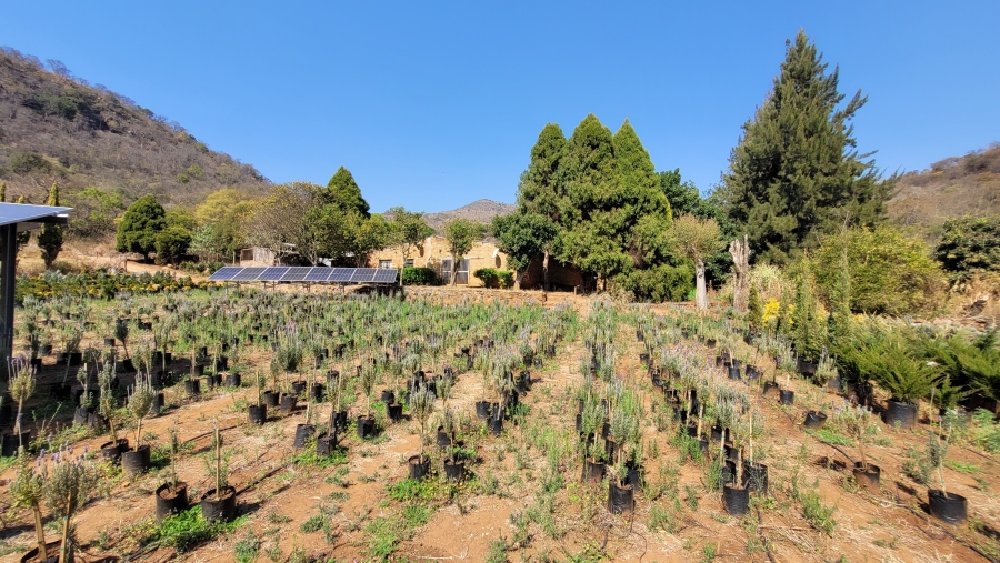 Commercial Property for Sale in Nelspruit Rural Mpumalanga