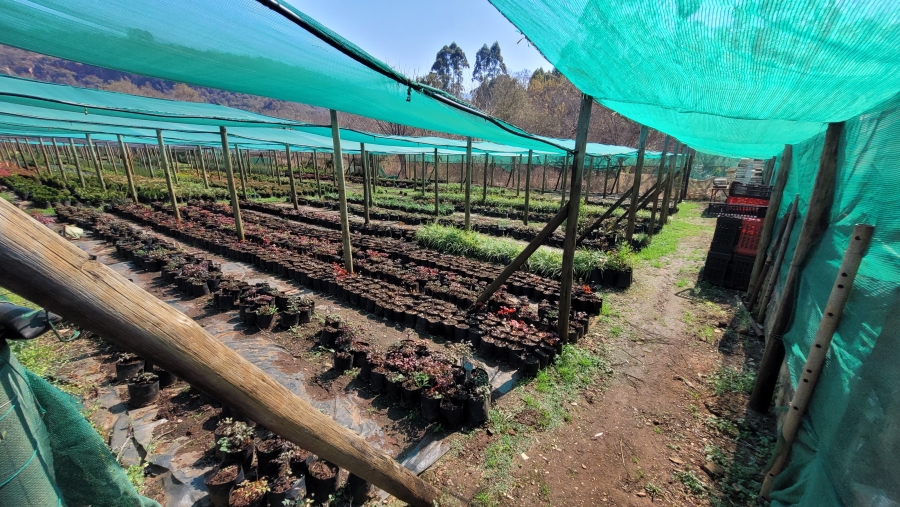 Commercial Property for Sale in Nelspruit Rural Mpumalanga