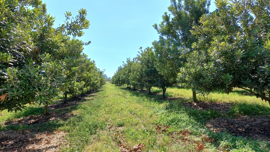 Commercial Property for Sale in White River Estates Mpumalanga