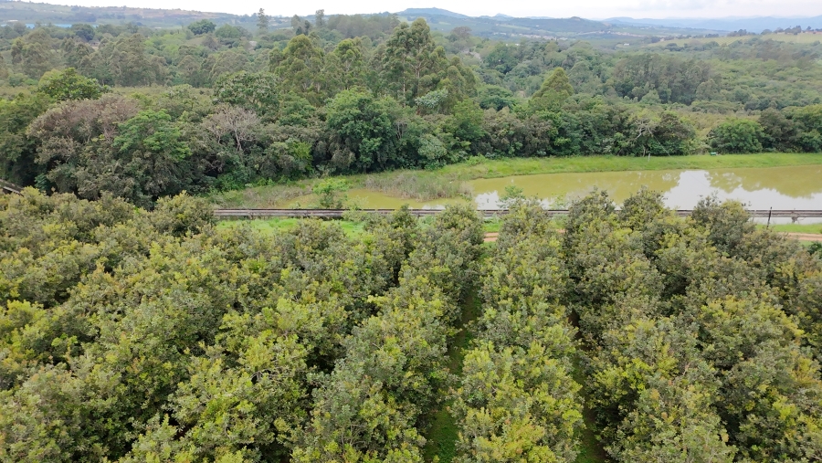 Commercial Property for Sale in White River Estates Mpumalanga
