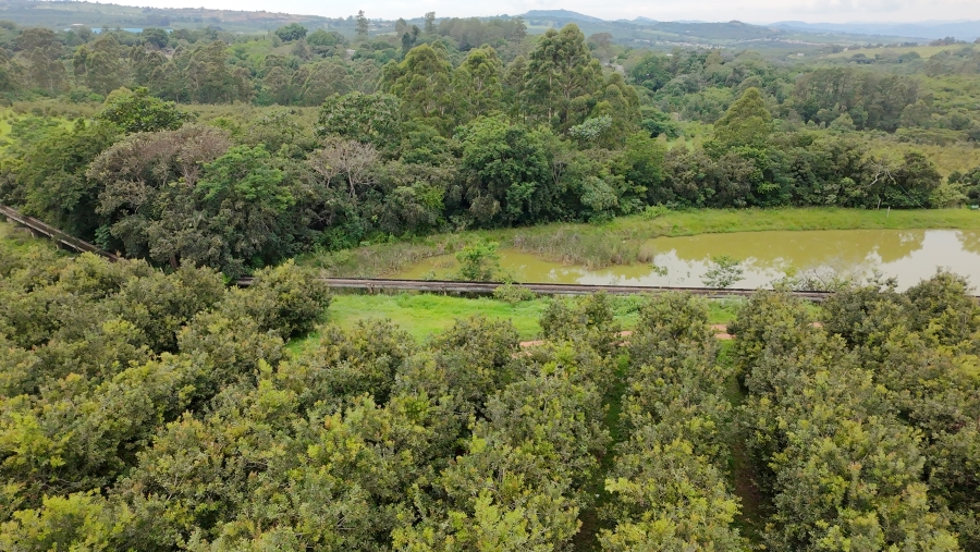 Commercial Property for Sale in White River Estates Mpumalanga