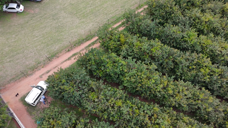 Commercial Property for Sale in White River Estates Mpumalanga