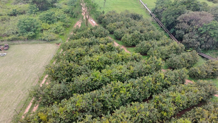 Commercial Property for Sale in White River Estates Mpumalanga