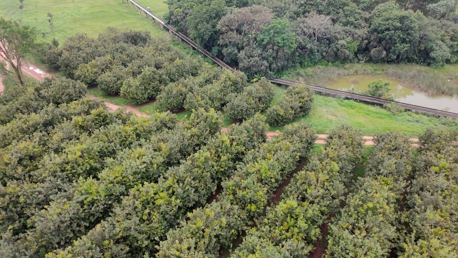 Commercial Property for Sale in White River Estates Mpumalanga