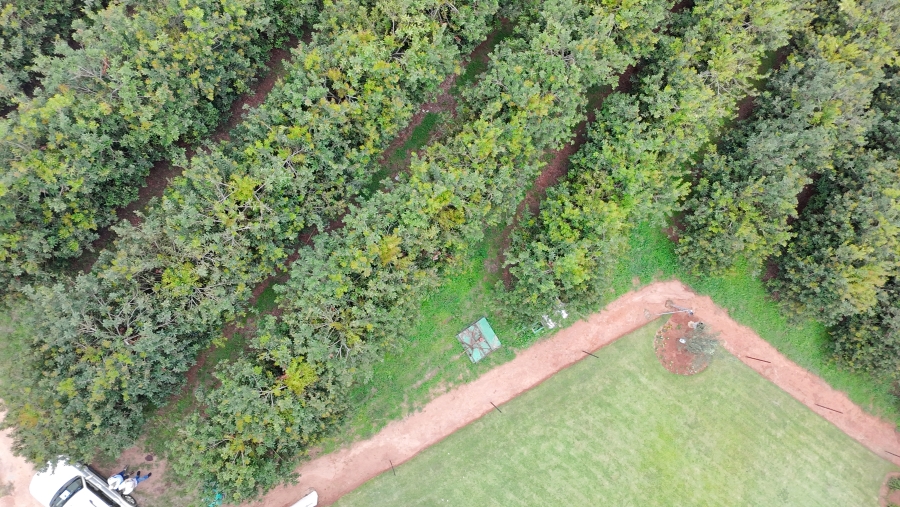 Commercial Property for Sale in White River Estates Mpumalanga
