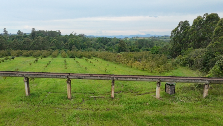 Commercial Property for Sale in White River Estates Mpumalanga