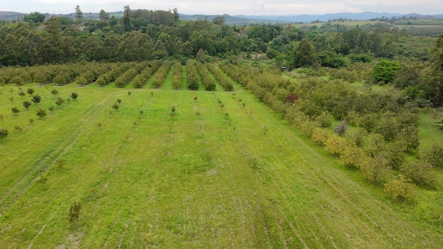 Commercial Property for Sale in White River Estates Mpumalanga