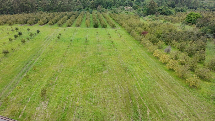 Commercial Property for Sale in White River Estates Mpumalanga