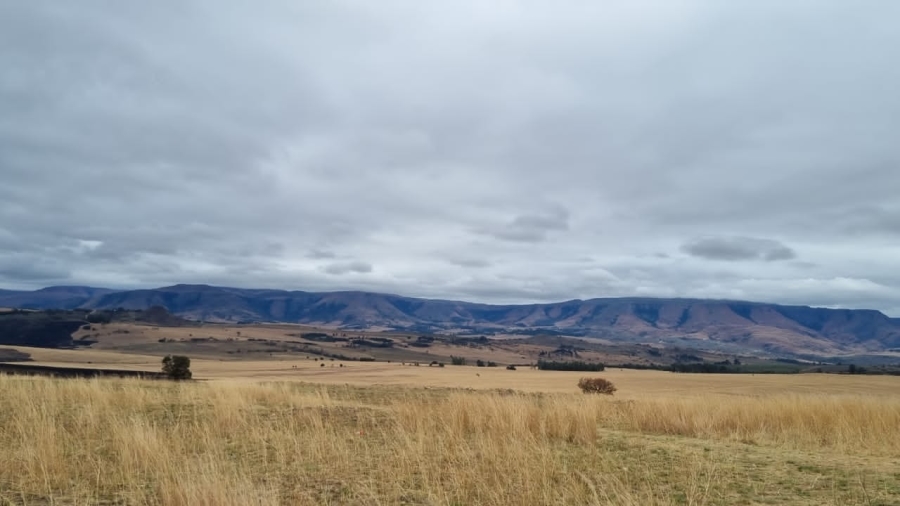 0 Bedroom Property for Sale in Badplaas Mpumalanga