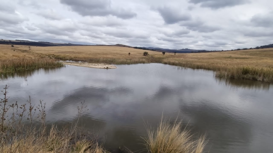 0 Bedroom Property for Sale in Badplaas Mpumalanga