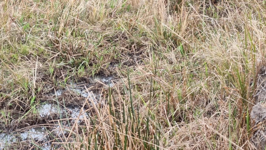 0 Bedroom Property for Sale in Badplaas Mpumalanga