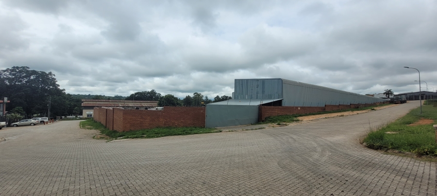 To Let Commercial Property for Rent in White River Mpumalanga