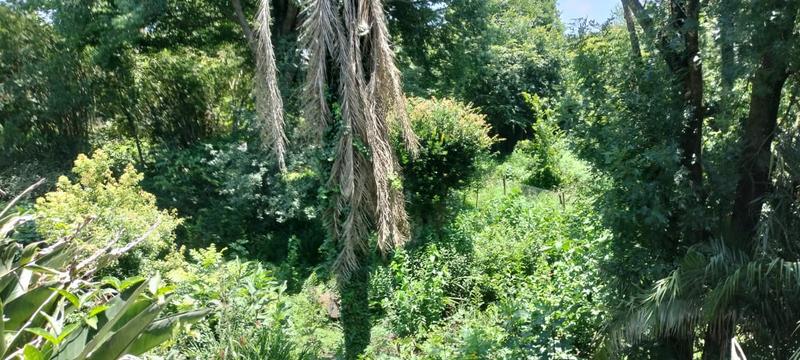 3 Bedroom Property for Sale in Sabie Mpumalanga