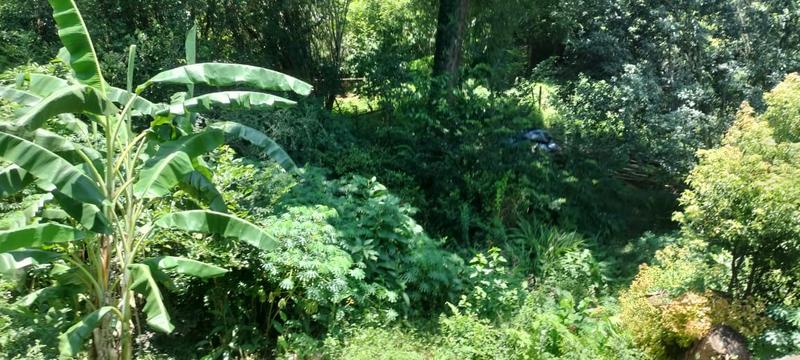 3 Bedroom Property for Sale in Sabie Mpumalanga