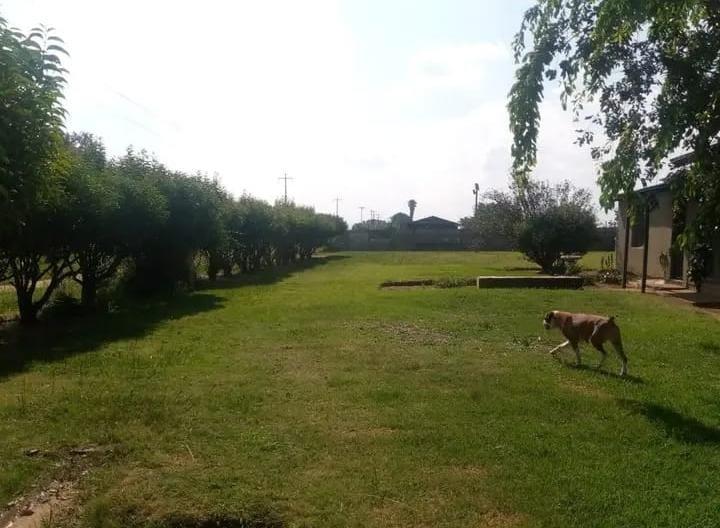 0 Bedroom Property for Sale in Delmas Mpumalanga