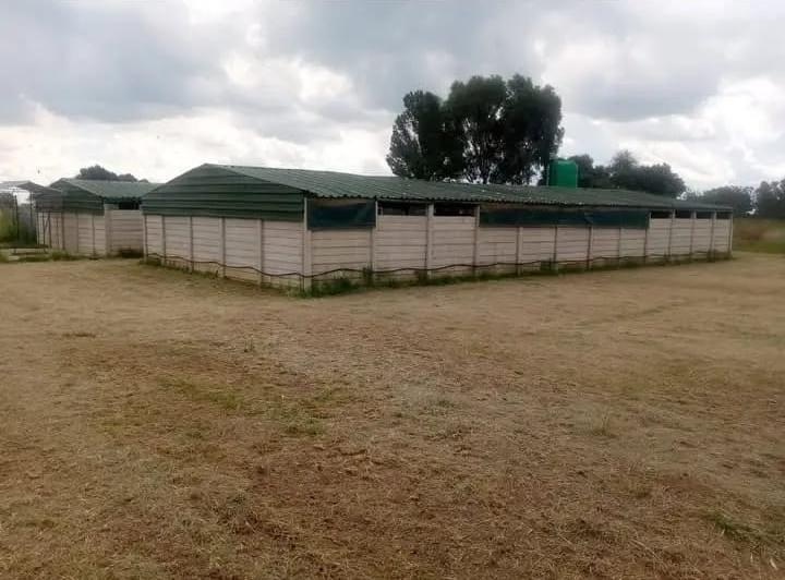 0 Bedroom Property for Sale in Delmas Mpumalanga