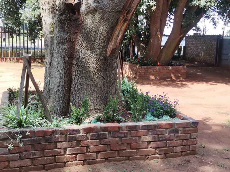 3 Bedroom Property for Sale in Carolina Mpumalanga