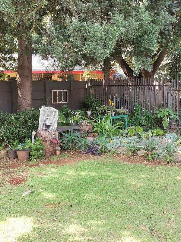 3 Bedroom Property for Sale in Carolina Mpumalanga