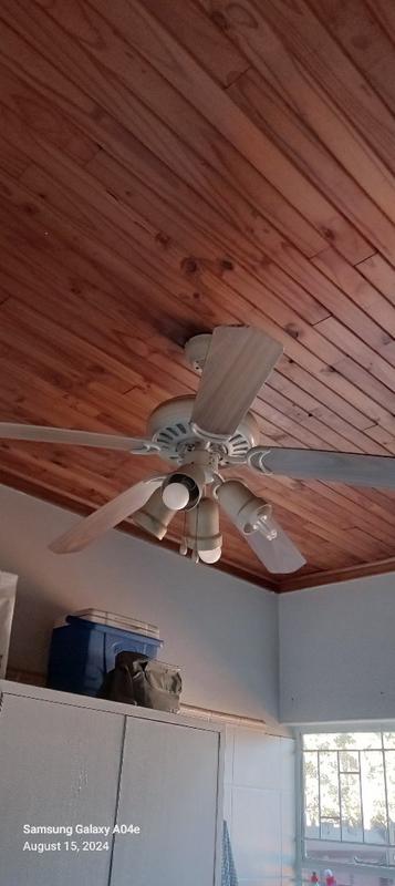 To Let 3 Bedroom Property for Rent in Delmas Mpumalanga