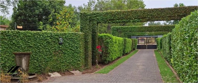 4 Bedroom Property for Sale in Middelburg Mpumalanga