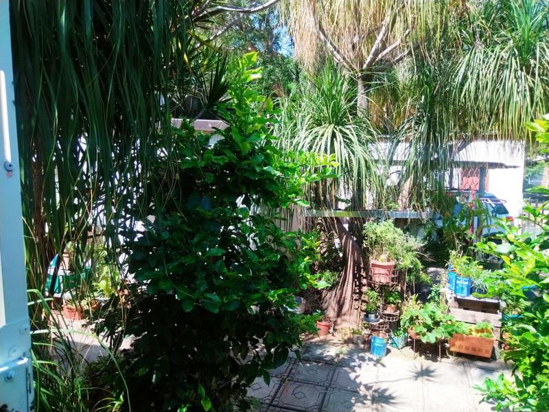 5 Bedroom Property for Sale in Barberton Mpumalanga