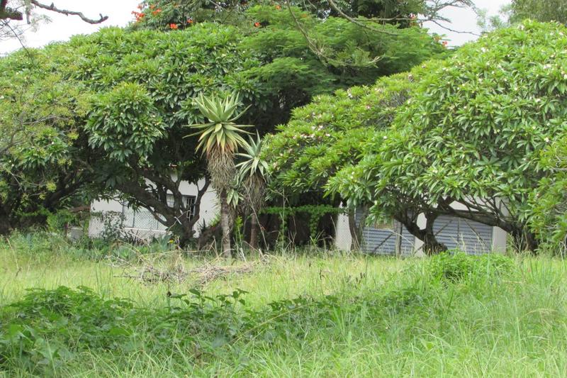 7 Bedroom Property for Sale in Hilltop AH Mpumalanga