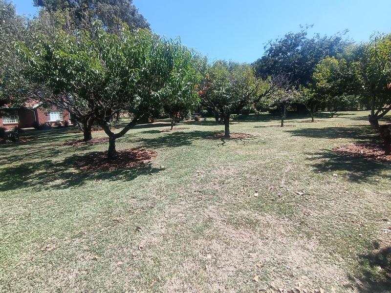 Commercial Property for Sale in Rietkol AH Mpumalanga