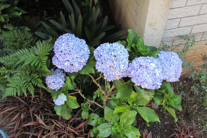 2 Bedroom Property for Sale in White River Mpumalanga