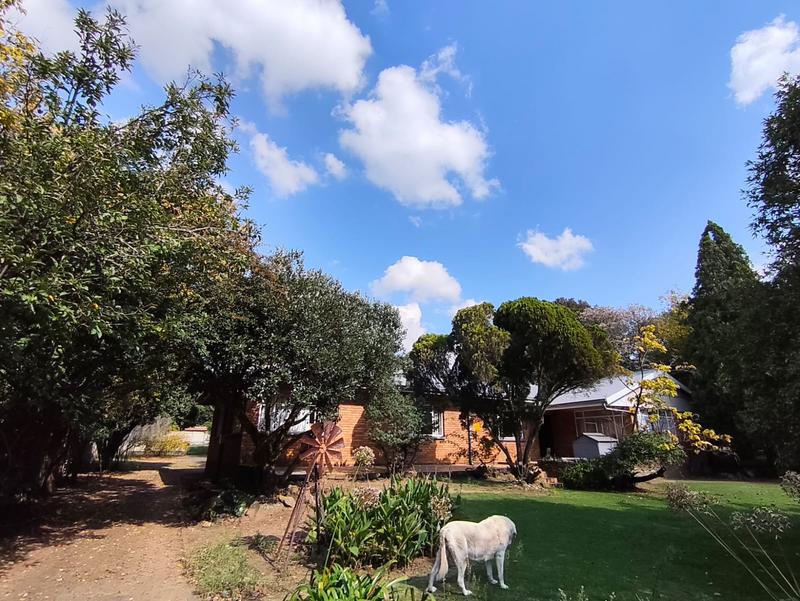 3 Bedroom Property for Sale in Bethal Mpumalanga