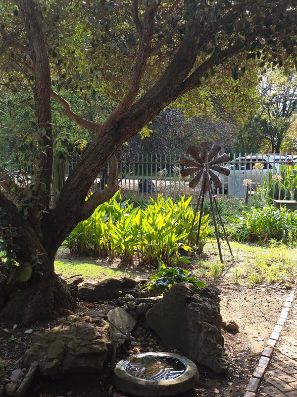 3 Bedroom Property for Sale in Bethal Mpumalanga