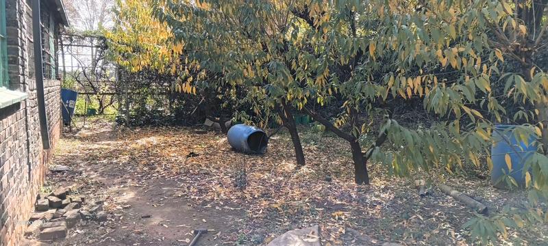 4 Bedroom Property for Sale in Delmas Mpumalanga