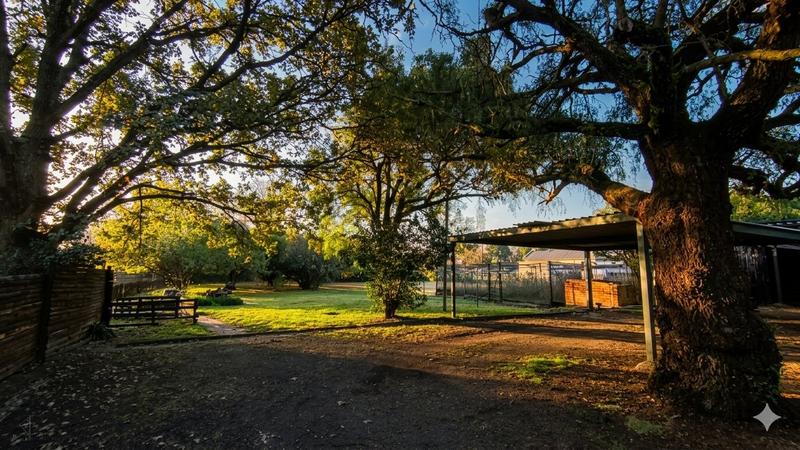 3 Bedroom Property for Sale in Bethal Mpumalanga