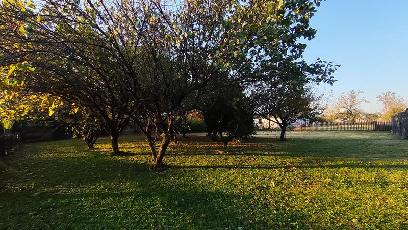 3 Bedroom Property for Sale in Bethal Mpumalanga