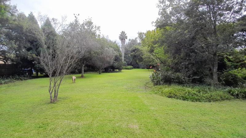 4 Bedroom Property for Sale in Lydenburg Mpumalanga
