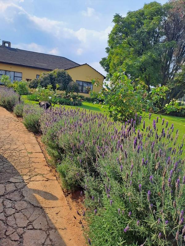 3 Bedroom Property for Sale in Sundale AH Mpumalanga