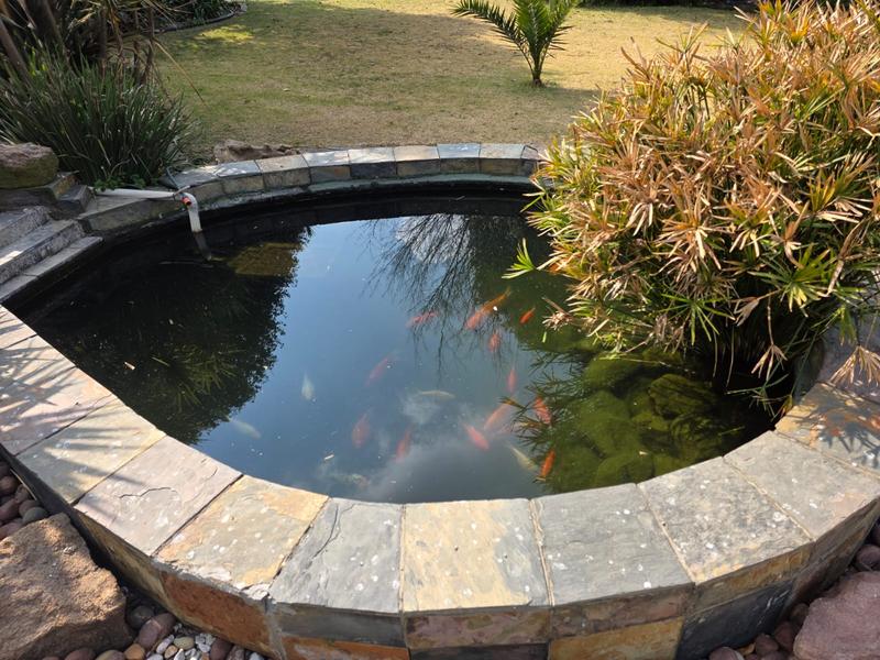 5 Bedroom Property for Sale in Bethal Mpumalanga