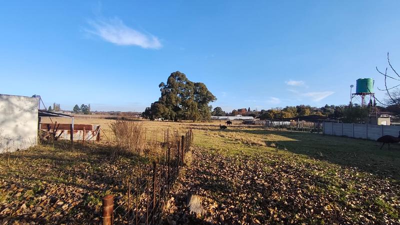 4 Bedroom Property for Sale in Bethal Mpumalanga
