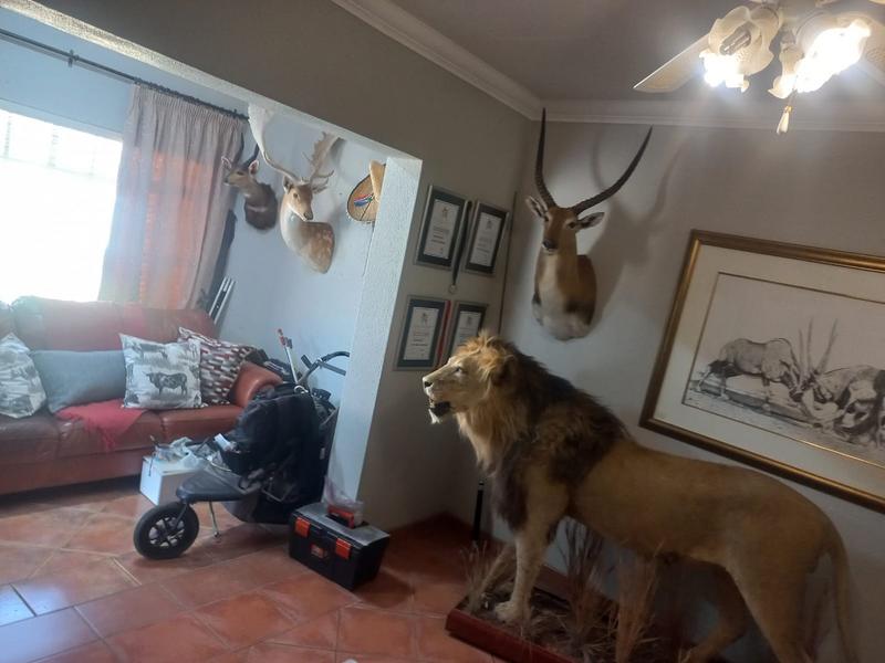 3 Bedroom Property for Sale in Delmas Mpumalanga