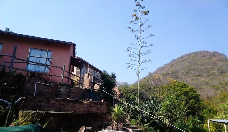 4 Bedroom Property for Sale in Barberton Mpumalanga