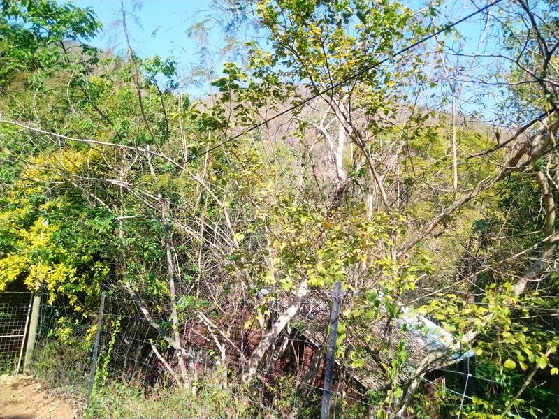 4 Bedroom Property for Sale in Barberton Mpumalanga