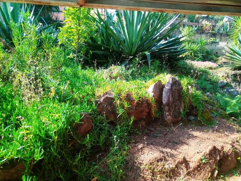 4 Bedroom Property for Sale in Barberton Mpumalanga