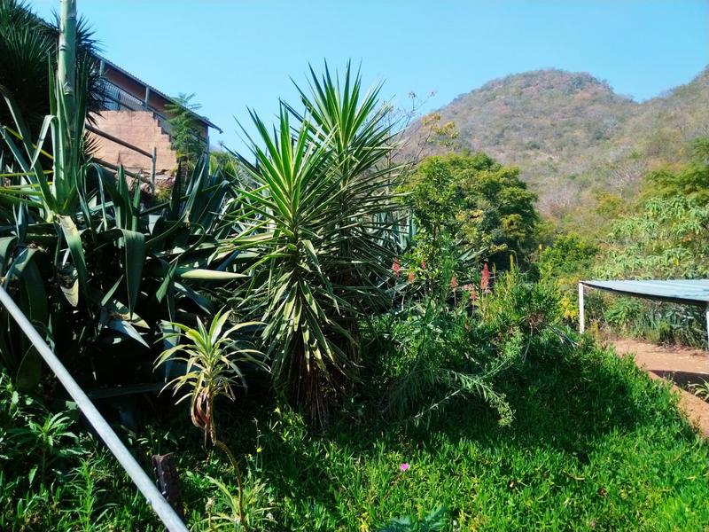 4 Bedroom Property for Sale in Barberton Mpumalanga