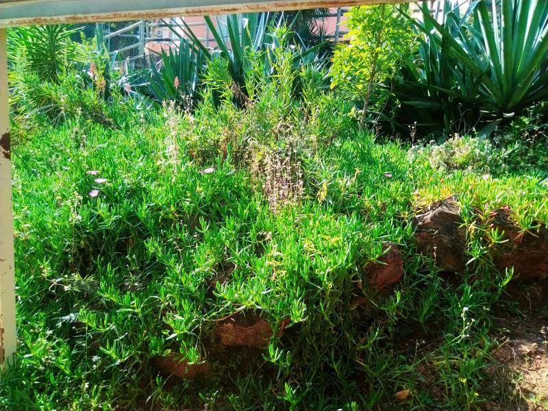 4 Bedroom Property for Sale in Barberton Mpumalanga