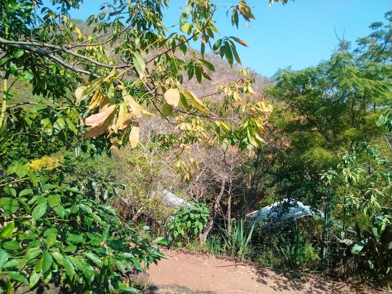 4 Bedroom Property for Sale in Barberton Mpumalanga