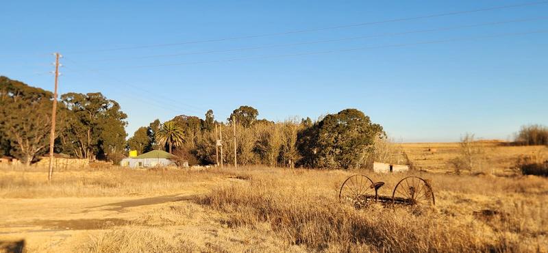 0 Bedroom Property for Sale in Kinross Mpumalanga
