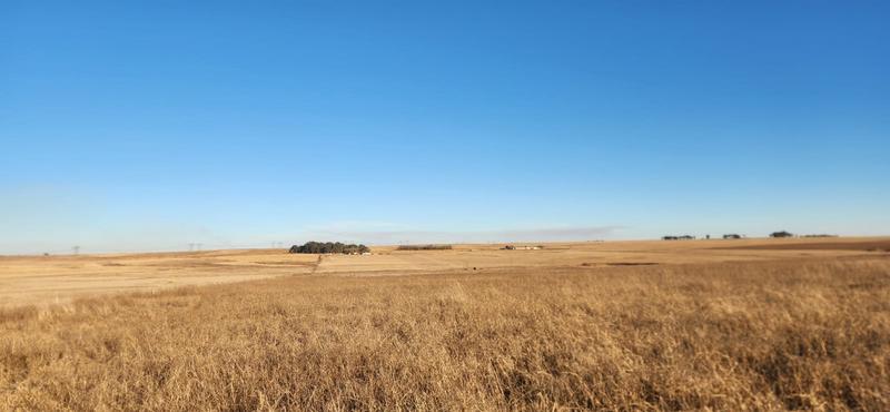0 Bedroom Property for Sale in Kinross Mpumalanga