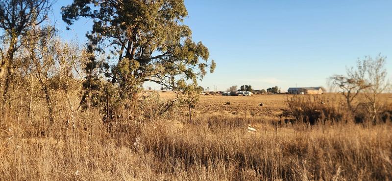 0 Bedroom Property for Sale in Kinross Mpumalanga