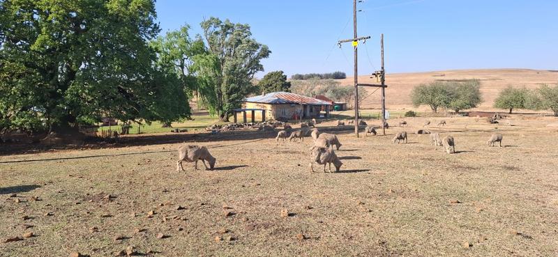 3 Bedroom Property for Sale in Carolina Mpumalanga
